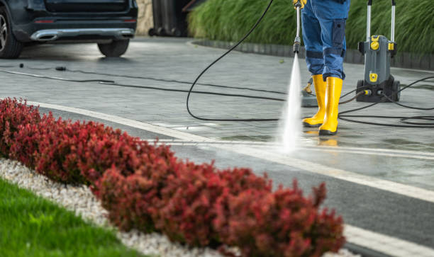 Best Fence Cleaning  in Lake Mathews, CA